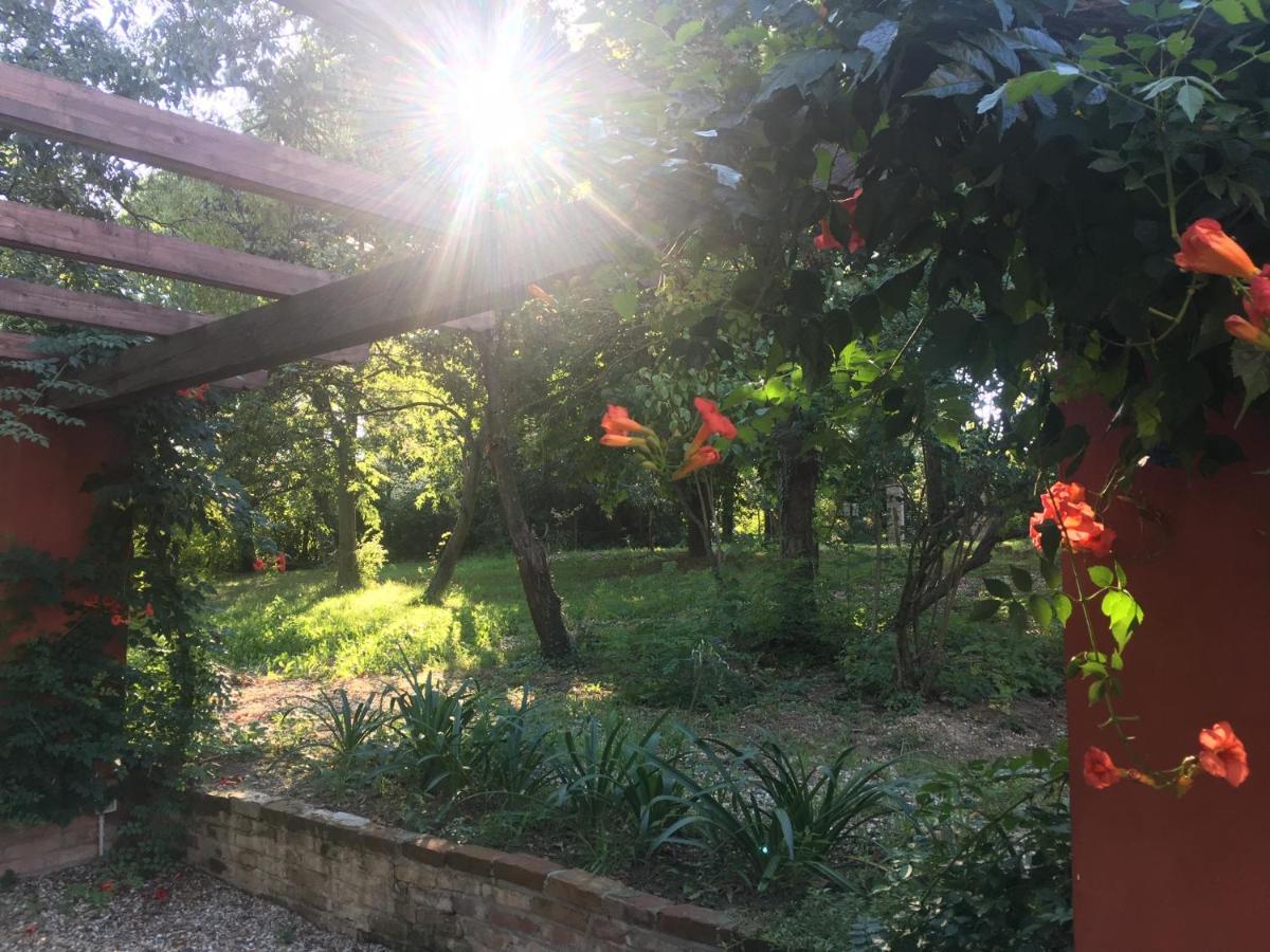 Farm stay Monfra - Ospitalita Rurale, Vigneti E Cantina *