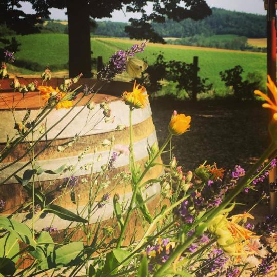 Farm stay Monfra - Ospitalita Rurale, Vigneti E Cantina *