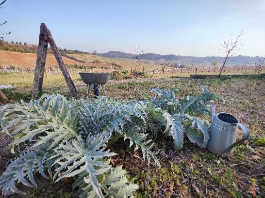 Monfra - Ospitalita Rurale, Vigneti E Cantina Farm stay *