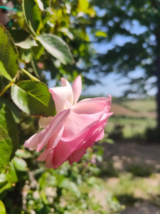 Monfra - Ospitalita Rurale, Vigneti E Cantina